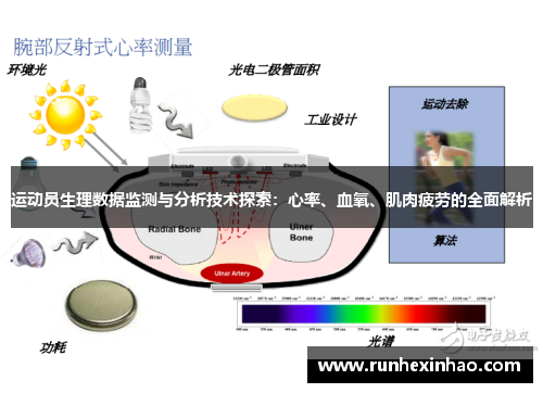 运动员生理数据监测与分析技术探索：心率、血氧、肌肉疲劳的全面解析